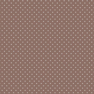 CARTA SCRAPBOOKING GRAN CANYON - 08