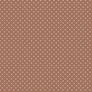 CARTA SCRAPBOOKING GRAN CANYON - 11