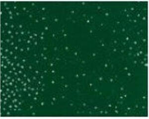 FOGLIO PANNOLENCI GLITTER -VERDE SCURO