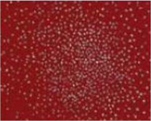 FOGLIO PANNOLENCI GLITTER -ROSSO SCURO