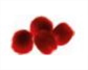 BUSTA DI POMPON ROSSI