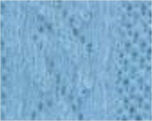 TUBOLARE TRECCIA - AZZURRO 100X8 CM