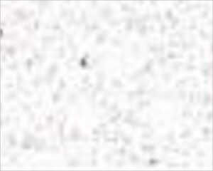 FOMMY GLITTER - BIANCO