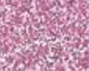 FOMMY GLITTER - ROSA CHIARO