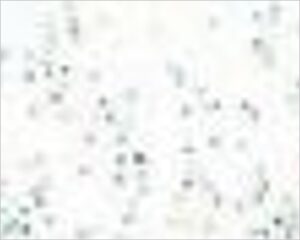 FOMMY GLITTER - GHIACCIO