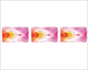 FOMMY DECO' SOFT - ORCHIDEA