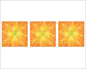 FOMMY DECO' SOFT - TULIPANO