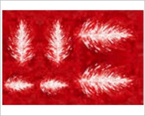 FOMMY DECO' SOFT - STELLA DI NATALE