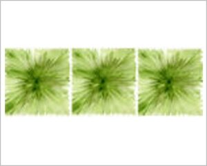 FOMMY DECO' SOFT - MONET BIG