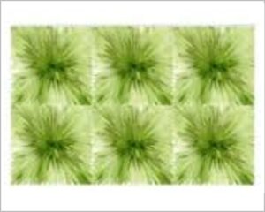 FOMMY DECO' SOFT - MONET MEDIUM