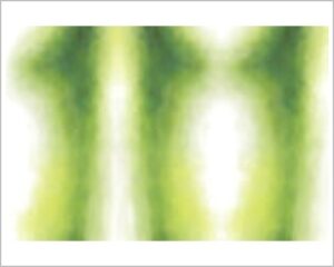 FOMMY DECO' SOFT - NEW SMALL - VERDE