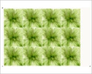 FOMMY DECO' SOFT - MONET SMALL