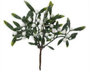 VISCHIO BACCHE BIANCHE