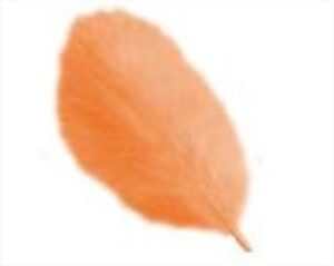 BUSTA DI PIUME ARANCIONE