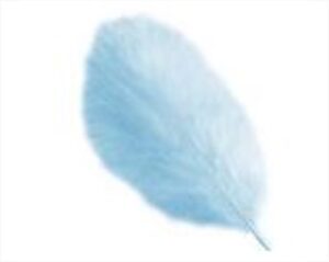 BUSTA DI PIUME AZZURRO