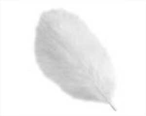 BUSTA DI PIUME BIANCHE