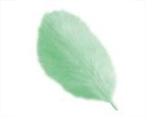 BUSTA DI PIUME VERDI