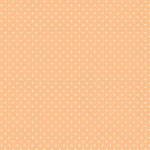 CARTA SCRAPBOOKING GRAN CANYON - 04