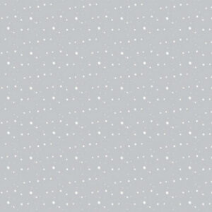 CARTA SCRAPBOOKING THE ICY WINTER SEASON - 06