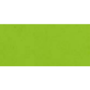 FOGLIO FOMMY TINTA UNITA - VERDE PASTELLO