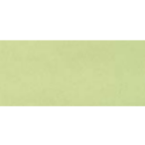 FOGLIO FOMMY TINTA UNITA - VERDE SALVIA