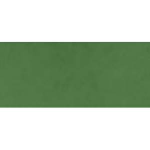 FOGLIO FOMMY TINTA UNITA - VERDE MUSCHIO