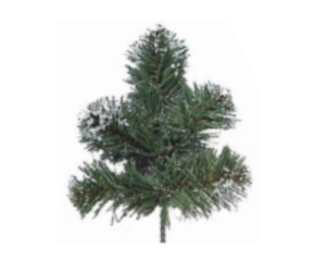 RAMO DI ABETE INNEVATO