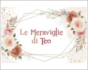 LE MERAVIGLIE DI TEO