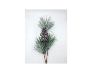 RAMO DI PINO CON NEVE E PIGNA