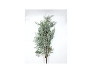 RAMO DI THUJA CON BRINA